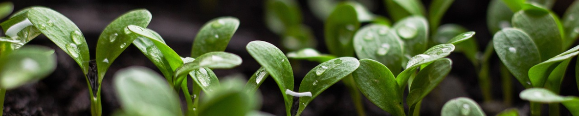 Company Information Image