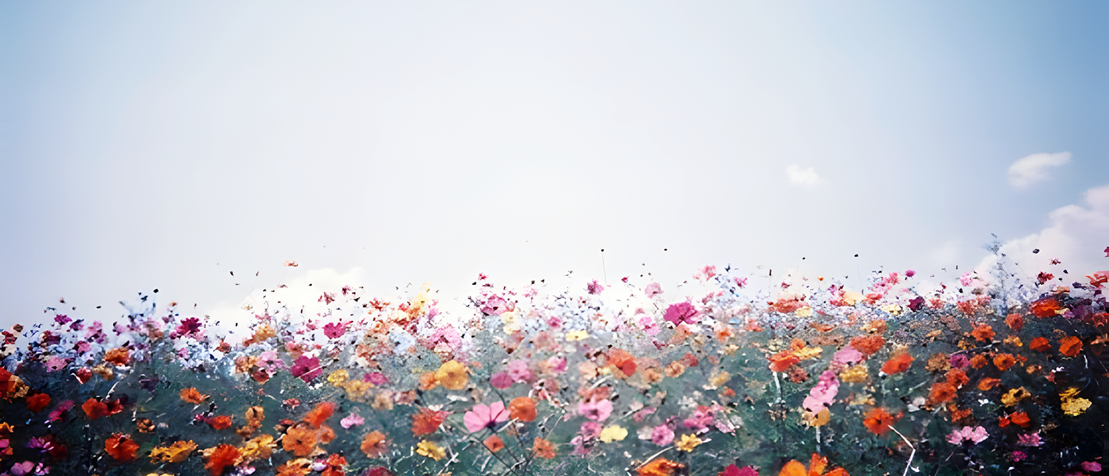 Philosophy Title Image